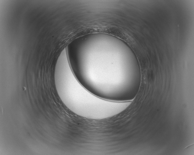 X0000078841298200611130947