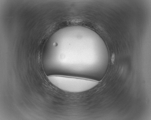 X0000078841299200611130947