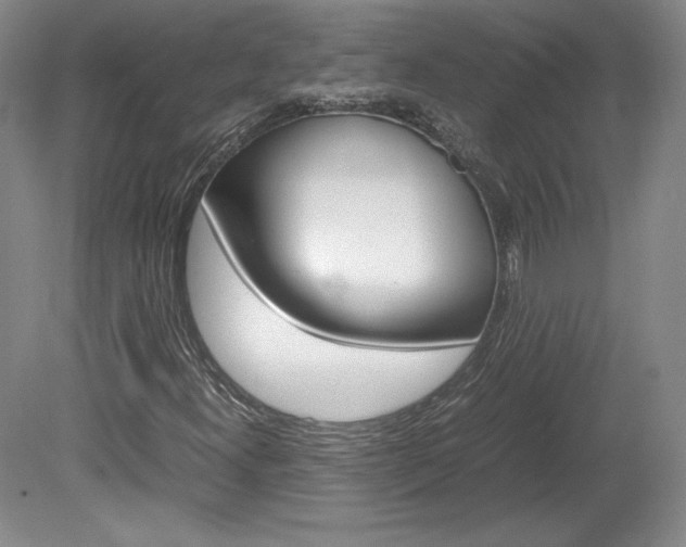 X0000078841300200611130947