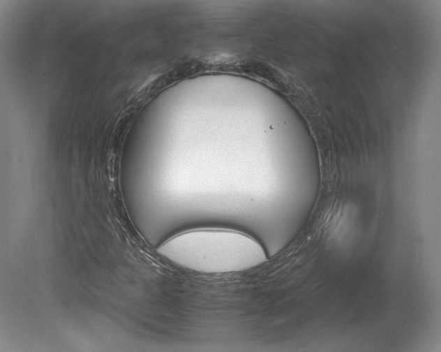 X0000078841301200611130947