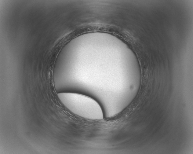 X0000078841302200611130947