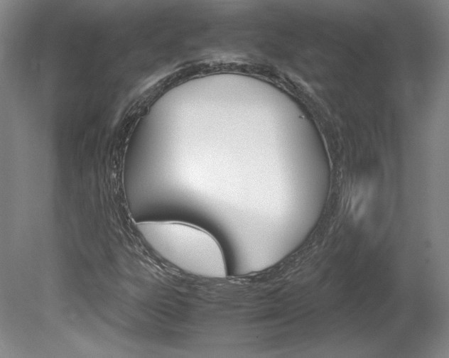 X0000078841303200611130947