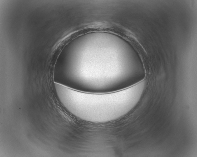 X0000078841304200611130947