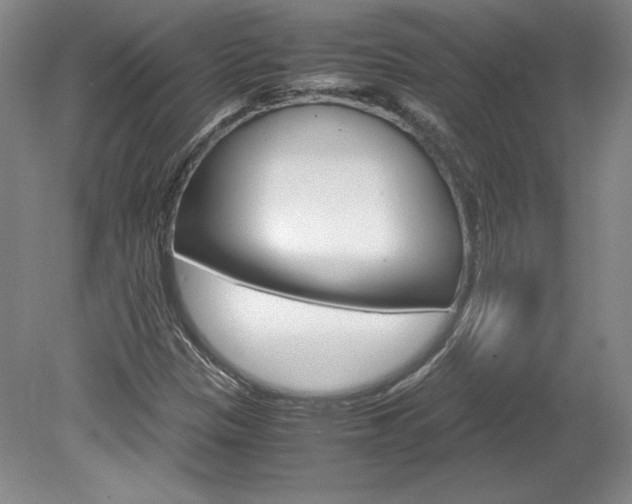 X0000078841305200611130947