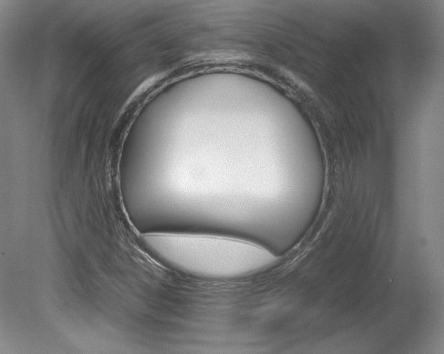 X0000078841306200611130947
