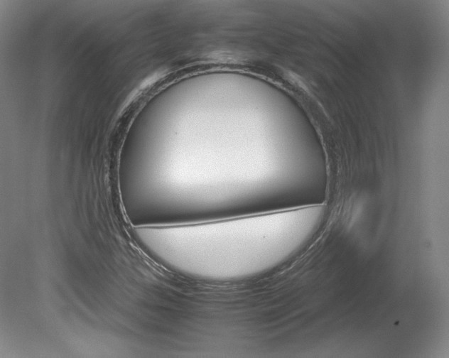 X0000078841307200611130947