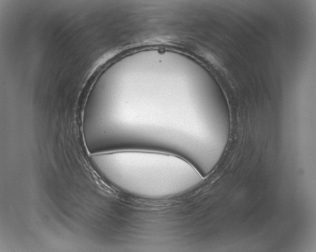 X0000078841308200611130947
