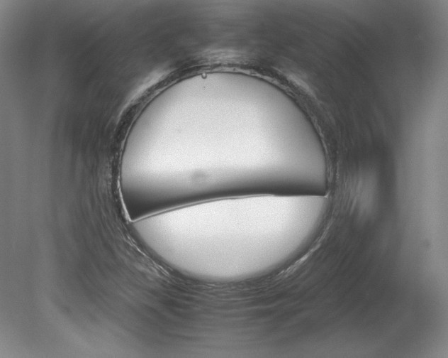 X0000078841309200611130947