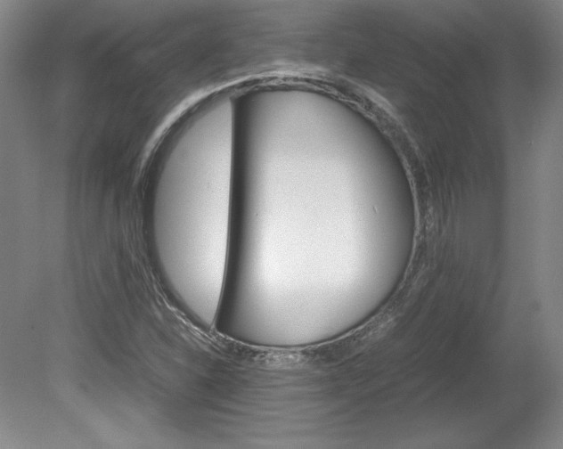 X0000078841310200611130947