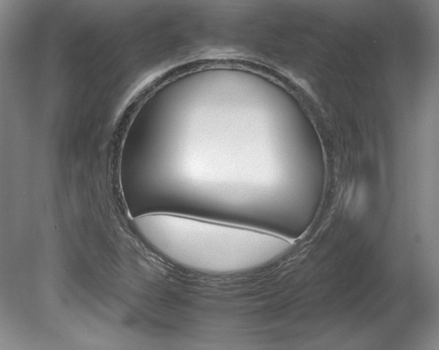 X0000078841311200611130947