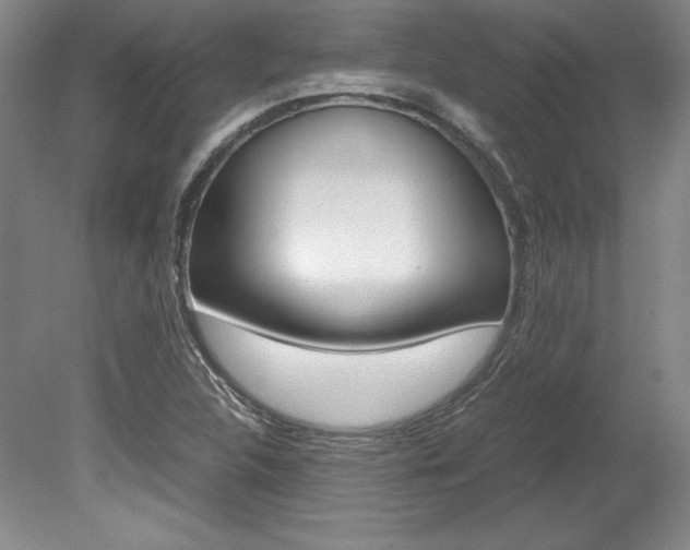 X0000078841312200611130947