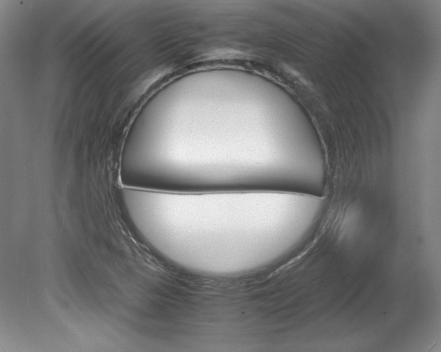 X0000078841313200611130947