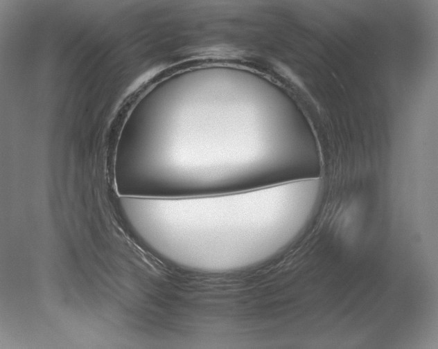 X0000078841315200611130947
