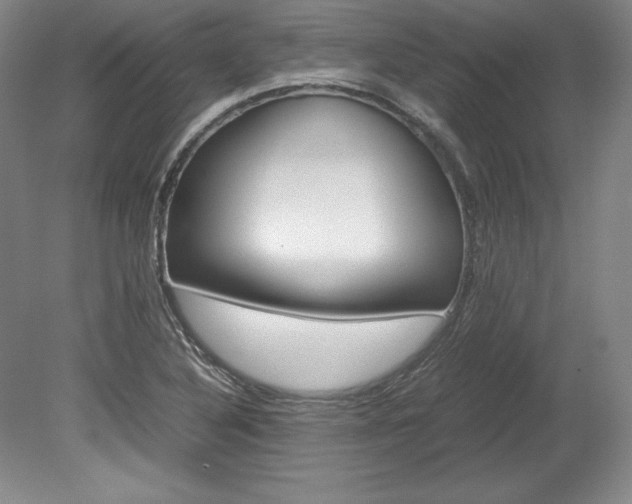 X0000078841316200611130947