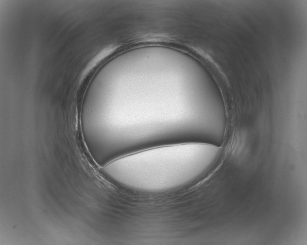 X0000078841317200611130947
