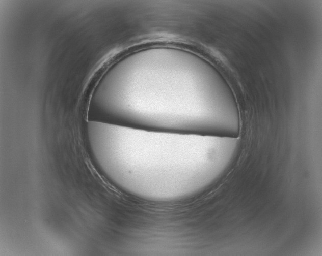 X0000078841318200611130947