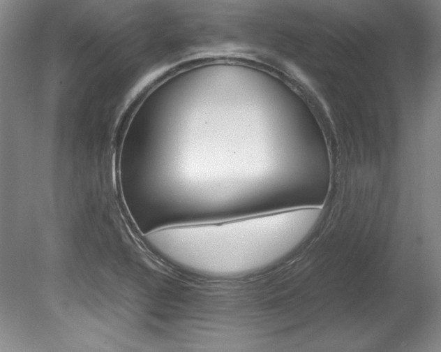 X0000078841320200611130947
