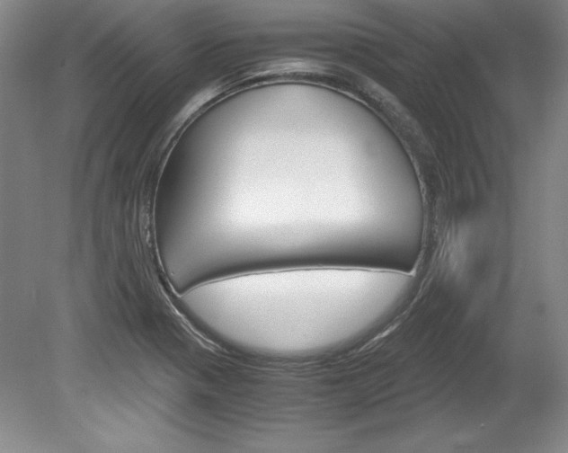 X0000078841321200611130947