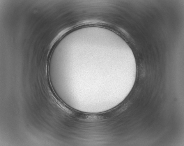 X0000078841322200611130947