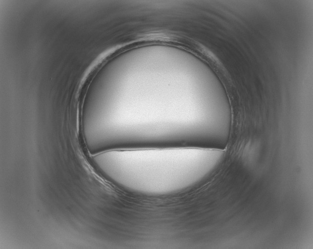 X0000078841323200611130947