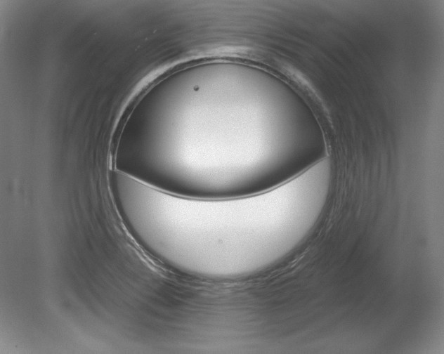 X0000078841324200611130947