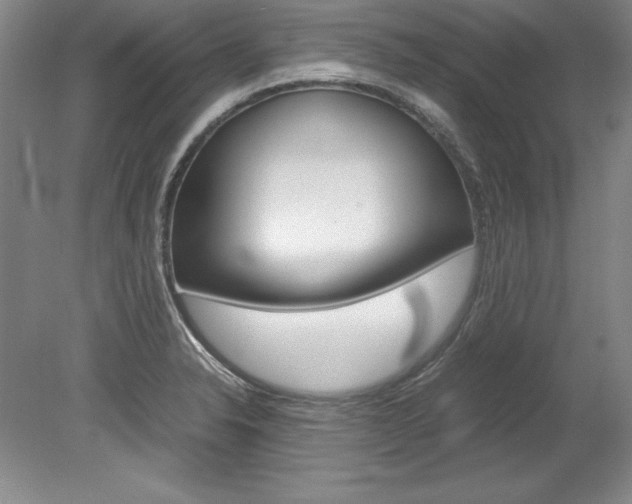 X0000078841326200611130947