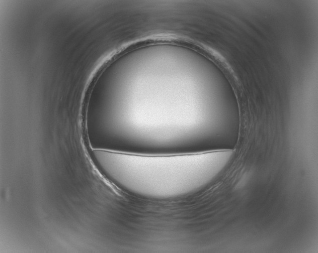 X0000078841327200611130948