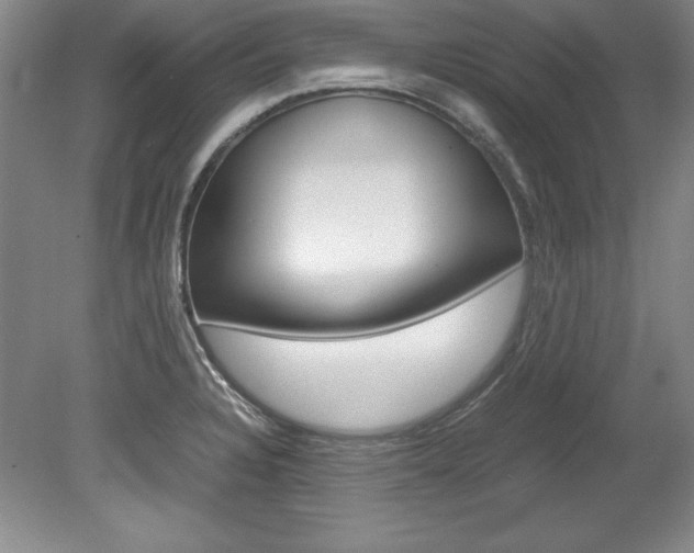 X0000078841328200611130948
