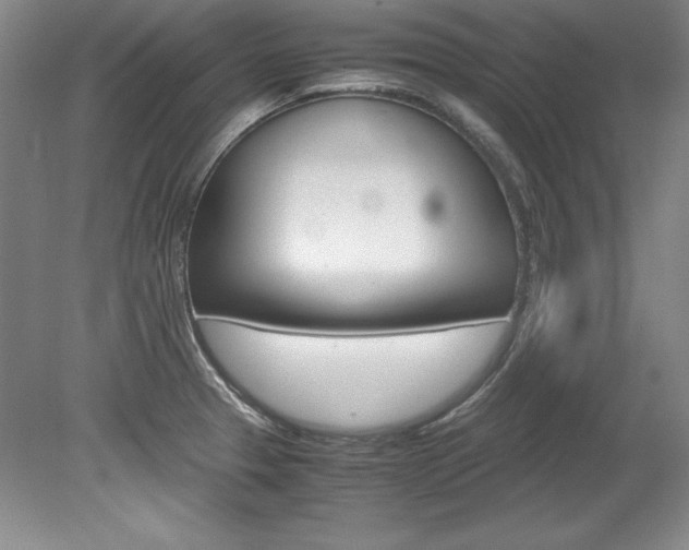 X0000078841329200611130948
