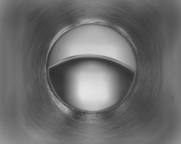 X0000078841330200611130948