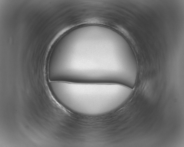 X0000078841331200611130948