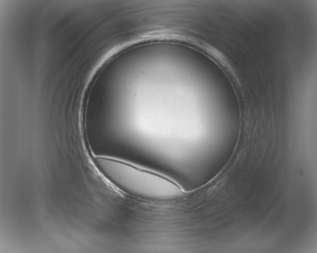 X0000078841334200611130948