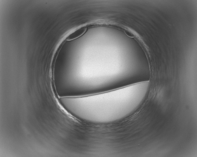 X0000078841335200611130948