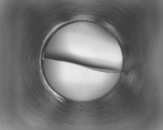 X0000078841339200611130948