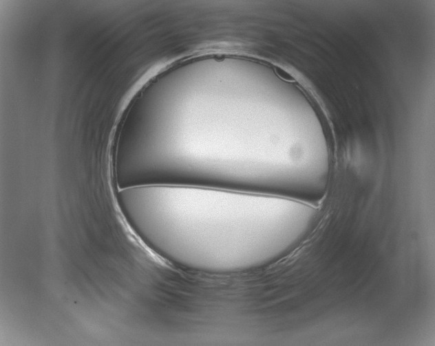 X0000078841341200611130948