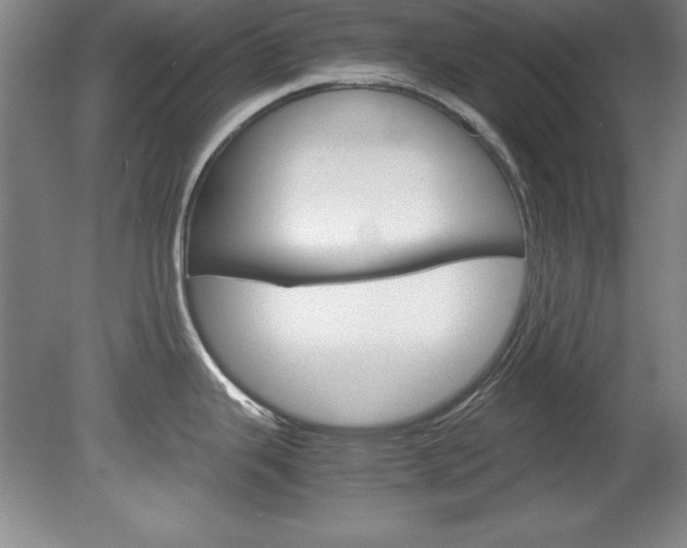 X0000078841343200611130948