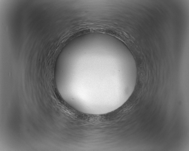 X0000078841345200611130947