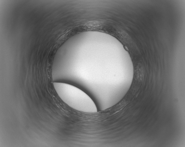 X0000078841346200611130947