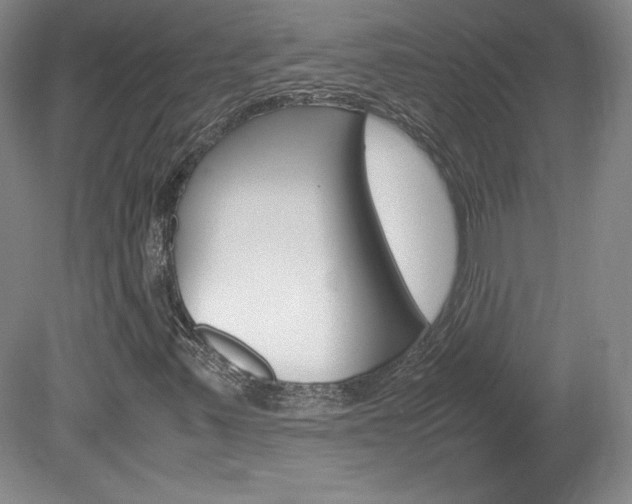 X0000078841347200611130947