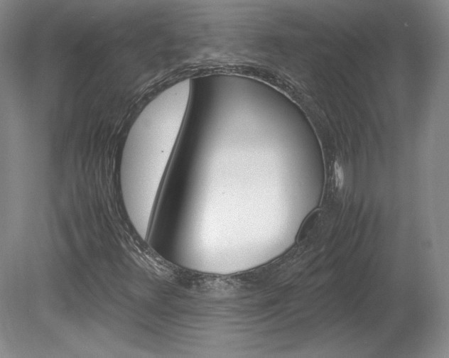 X0000078841348200611130947