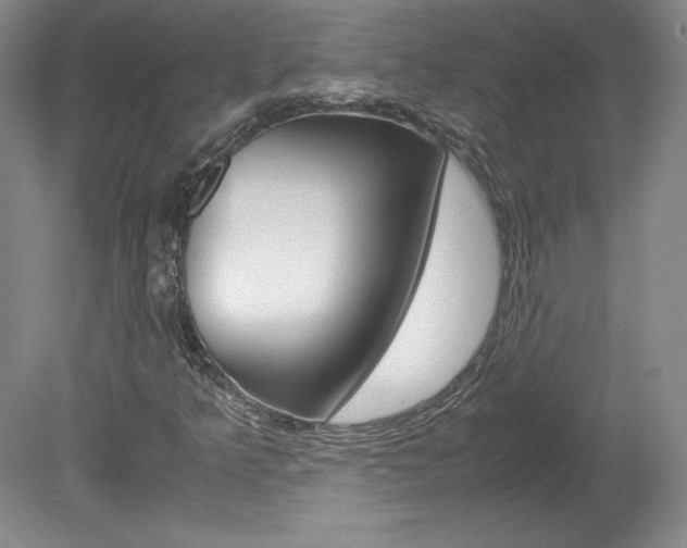 X0000078841349200611130947