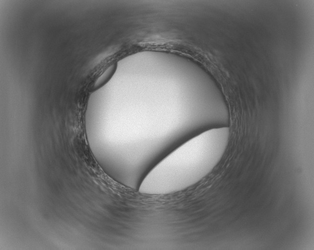 X0000078841350200611130947