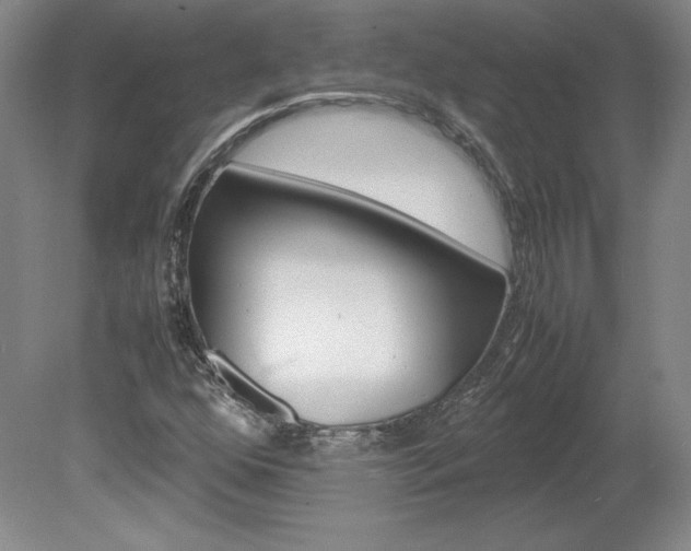 X0000078841352200611130947