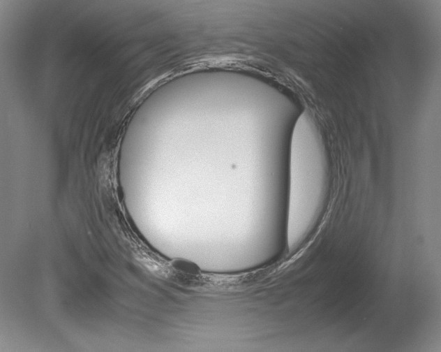 X0000078841353200611130947