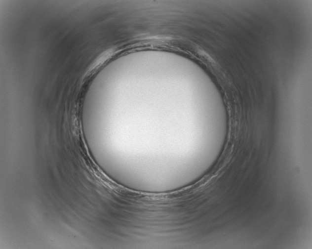 X0000078841354200611130947