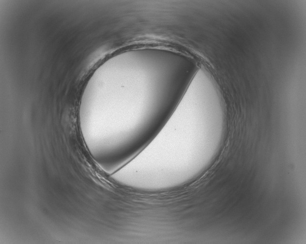 X0000078841355200611130947