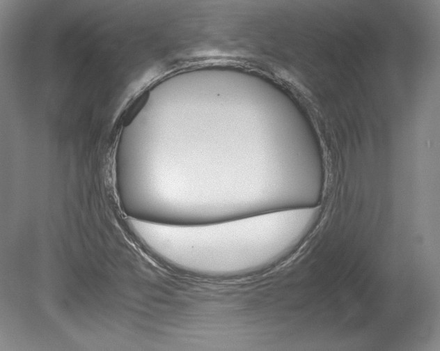 X0000078841357200611130947