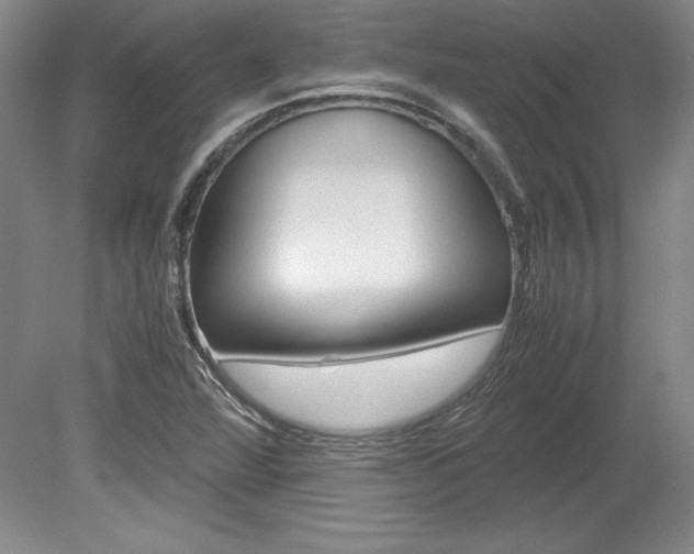X0000078841360200611130947