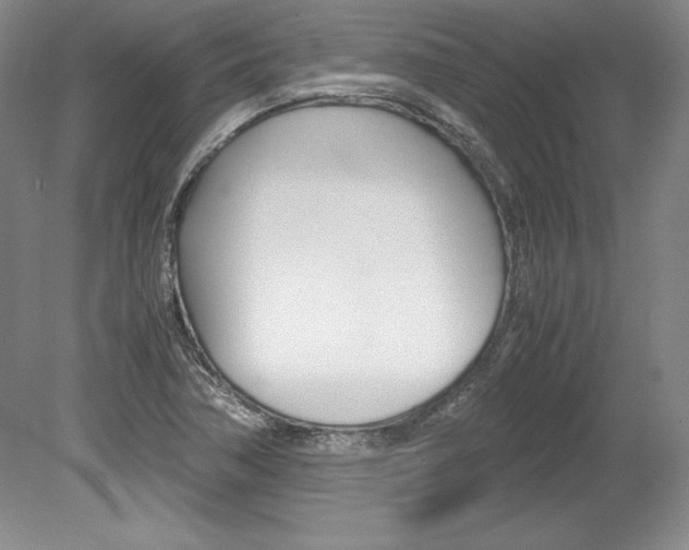X0000078841362200611130947