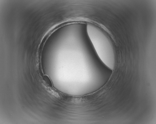X0000078841364200611130947